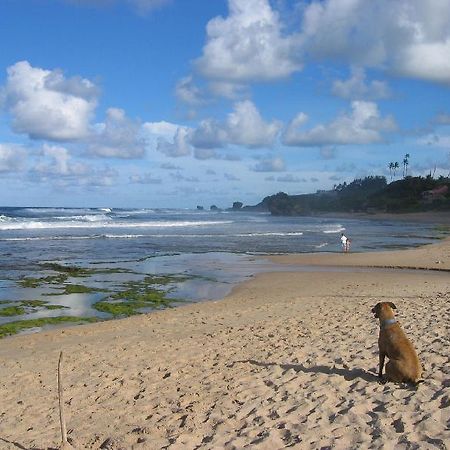 Round House Hotel Bathsheba Buitenkant foto